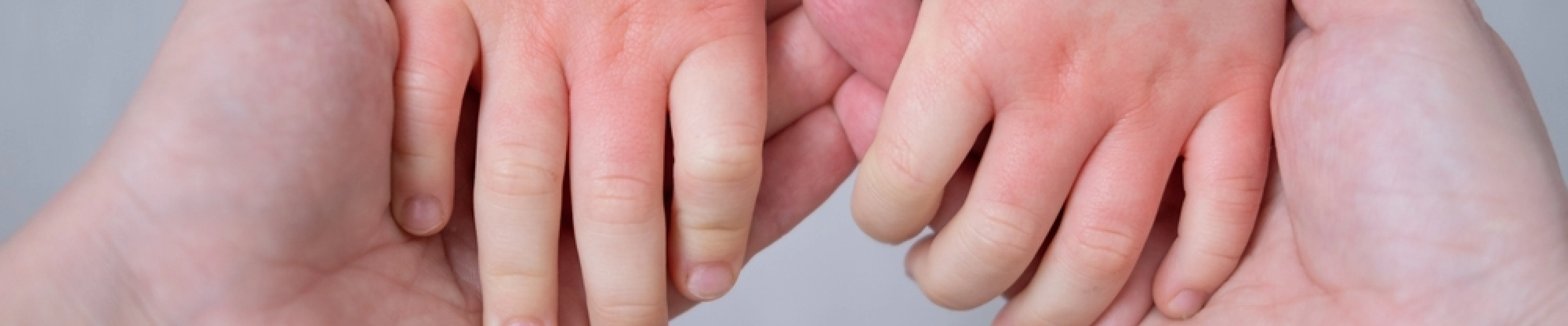 carpet cleaning in bronx, carpet cleaning in Bronx, carpet cleaning bronx, carpet cleaners in brooklyn, carpet cleaners in Bronx, commercial carpet cleaning, commercial carpet cleaning in bronx, bronx rug cleaners, rug cleaning services in bronx same day carpet cleaning, same day rug cleaning