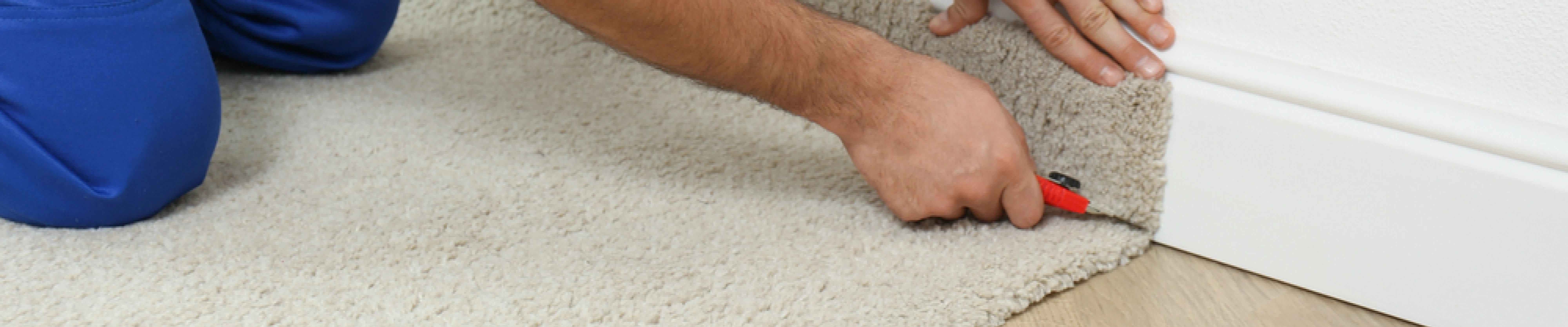 carpet cleaning in bronx, carpet cleaning in Bronx, carpet cleaning bronx, carpet cleaners in brooklyn, carpet cleaners in Bronx, commercial carpet cleaning, commercial carpet cleaning in bronx, bronx rug cleaners, rug cleaning services in bronx same day carpet cleaning, same day rug cleaning