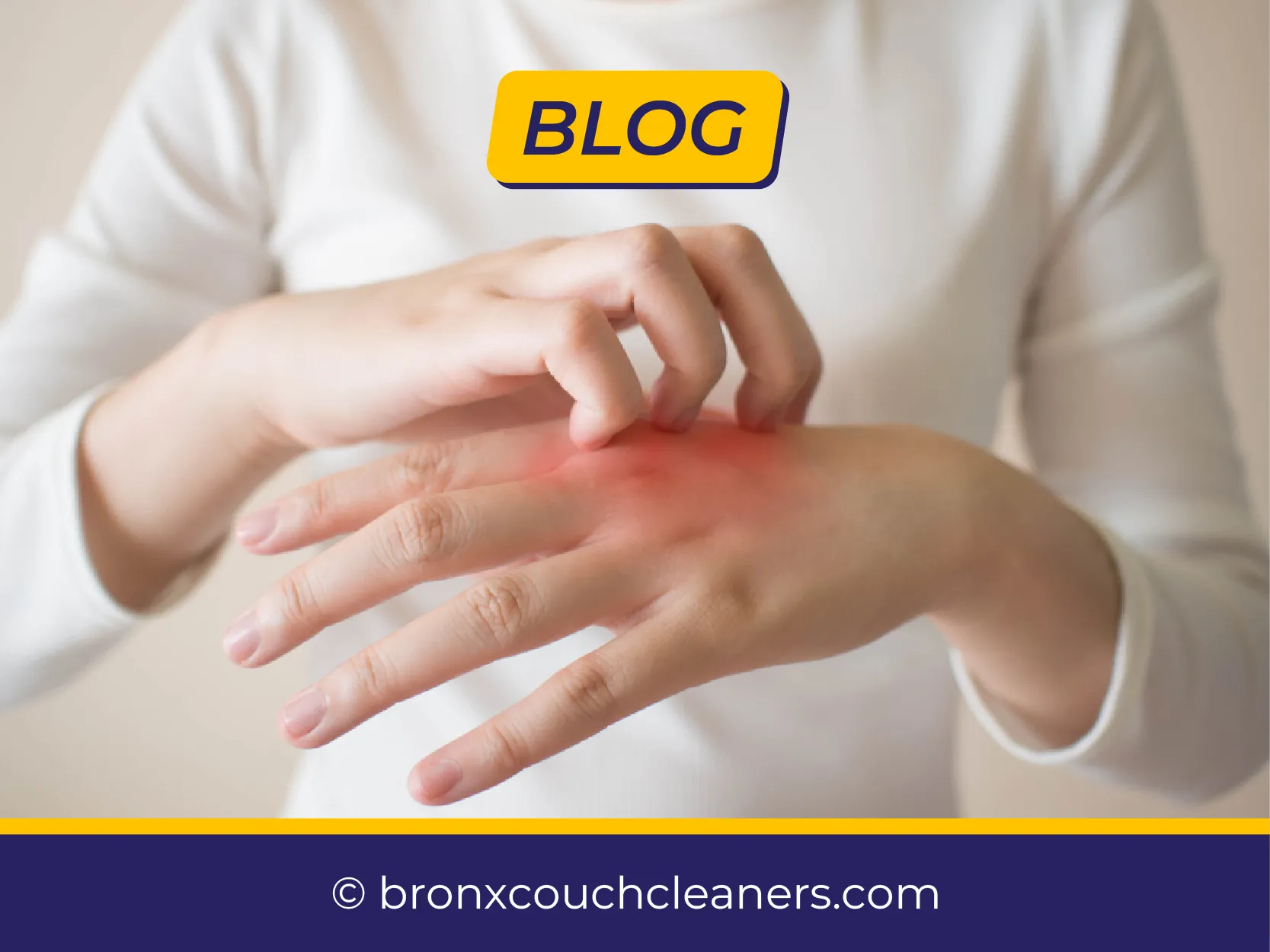 carpet cleaning in bronx, carpet cleaning in new york, carpet cleaning bronx, carpet cleaners in brooklyn, carpet cleaners in new york, commercial carpet cleaning, commercial carpet cleaning in bronx, bronx rug cleaners, rug cleaning services in bronx same day carpet cleaning, same day rug cleaning